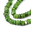 Natural Trochid Shell/Trochus Shell Beads Strands SHEL-S258-081-B05-3