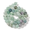 Natural Fluorite Beads Strands X-G-P530-B04-03-4