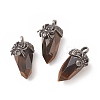 Natural Tiger Eye Pendants G-C051-03D-1