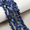 Natural Lapis Lazuli Beads Strands G-P597-B01-01-1