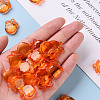 Transparent Acrylic Pendants TACR-S154-28B-84-5