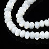 Natural Trochid Shell/Trochus Shell Beads Strands SSHEL-S266-017A-3