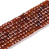 Natural Garnet Beads Strands X-G-P457-B01-18A-1