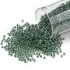 TOHO Round Seed Beads SEED-JPTR11-1070-1