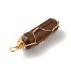 Natural Tiger Eye Double Terminated Pointed Pendants G-TAC0010-04G-05-2