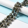 Natural Labradorite Beads Strands G-B028-B04-2