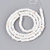 Natural Trochid Shell/Trochus Shell Beads Strands SSHEL-N040-21H-2