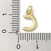 Rack Plating Brass Charms KK-P245-06G-C-3