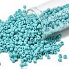 TOHO 8/0 Round Beads X-SEED-TR08-0055F-1