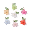 Acrylic Pendants PALLOY-TA00145-1