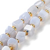 Natural Blue Lace Agate Beads Strands G-NH0036-01-1