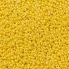 MIYUKI Round Rocailles Beads X-SEED-G008-RR0422D-4