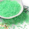 Glass Seed Beads SEED-S042-13A-12-1