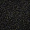 TOHO Round Seed Beads SEED-JPTR11-0083F-2