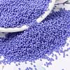MIYUKI Round Rocailles Beads SEED-JP0010-RR0417L-1