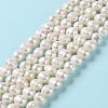 Natural Cultured Freshwater Pearl Beads Strands PEAR-E018-07-2