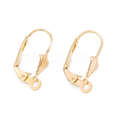 304 Stainless Steel Leverback Earring Findings STAS-K218-08G-1