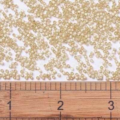 MIYUKI Delica Beads SEED-JP0008-DB0621-1