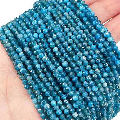 Natural Apatite Beads Strands G-Z057-B02-02-1