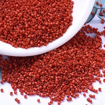 MIYUKI Delica Beads SEED-X0054-DB0795-1