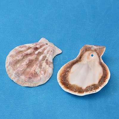 Natural Scallop Shell Beads BSHE-S108-1
