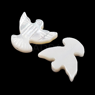 Natural White Shell Carved Beads SSHEL-I026-29-1