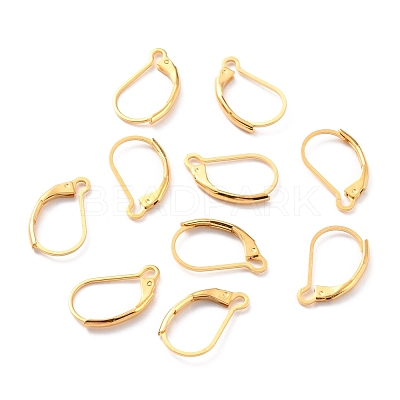 304 Stainless Steel Leverback Earring Findings X-STAS-K233-04G-1