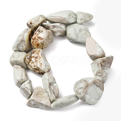 Natural Variscite Beads Strands G-D098-C09-1