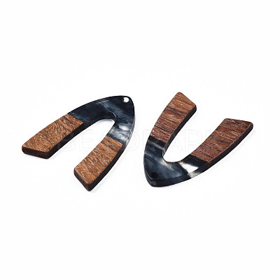 Transparent Resin & Walnut Wood Pendants RESI-N025-029-C-1