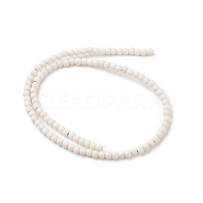 Synthetic Turquoise Beads Strands X-TURQ-G106-4mm-02Q-1