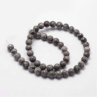 Natural Map Stone/Picasso Stone/Picasso Jasper Bead Strands G-D840-60-12mm-1