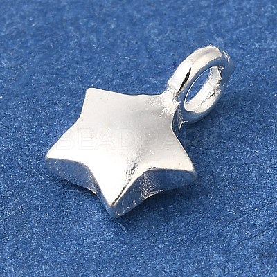 925 Sterling Silver Charms STER-G043-05A-S-1