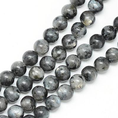 Natural Larvikite Beads Strands G-R345-10mm-33-1