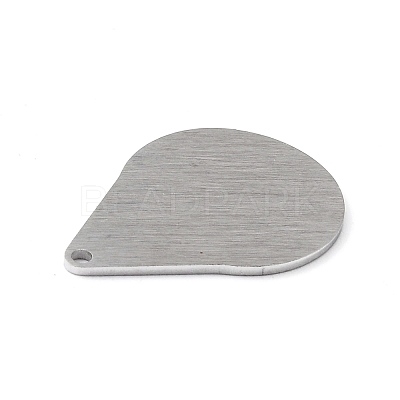 Tarnish Resistant 304 Stainless Steel Pendants STAS-F271-05E-P-1