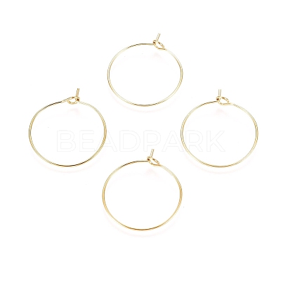 Ion Plating(IP) 316L Surgical Stainless Steel Hoop Earring Findings STAS-D164-06G-1