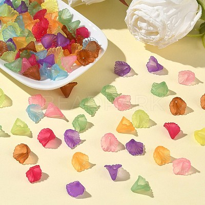 Transparent Acrylic Beads PL622M-1