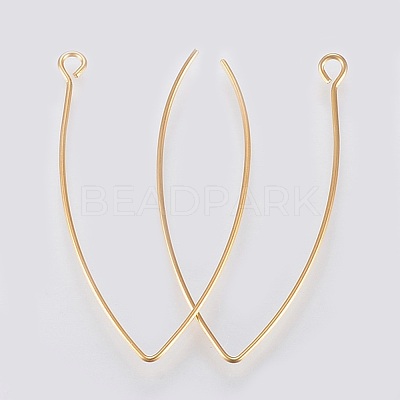 Ion Plating(IP) 304 Stainless Steel Earring Hooks STAS-K184-05-01G-1