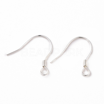 925 Sterling Silver Earring Hooks STER-D035-22S-1