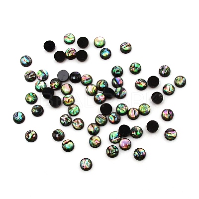 Paua Shell Cabochons SHEL-WH0001-002A-1