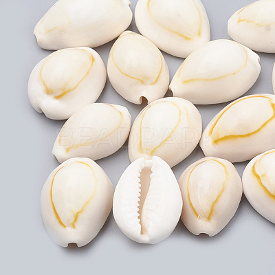 Cowrie Shell Beads SSHEL-T004-06-1