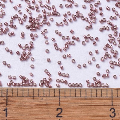 MIYUKI Delica Beads SEED-X0054-DB0423-1