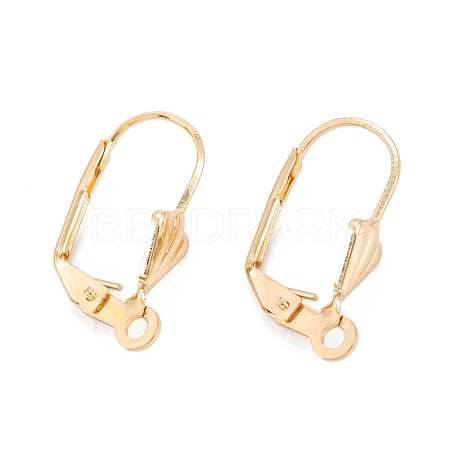 304 Stainless Steel Leverback Earring Findings STAS-K218-08G-1