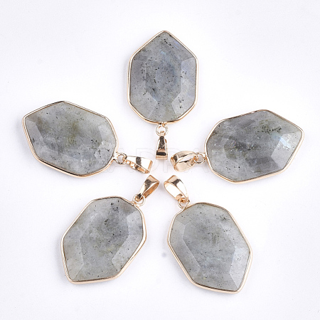 Natural Labradorite Pendants G-S344-12C-1