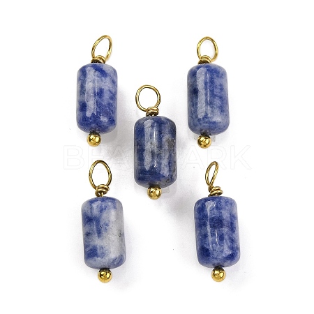 Natural Sodalite Cloumn Pendants STAS-H221-04G-06-1