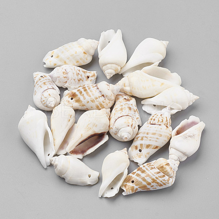 Conch Shell Beads X-BSHE-Q030-01-1
