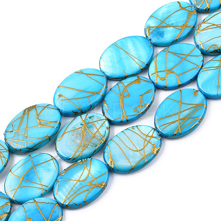 Freshwater Shell Beads Strands SSHEL-T007-17-1