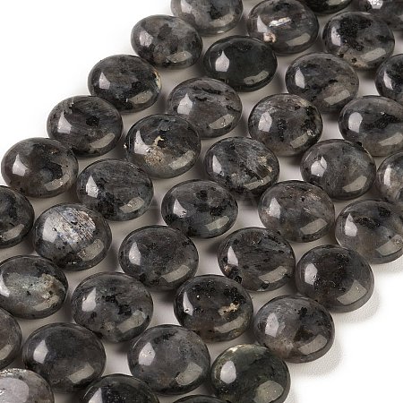 Natural Larvikite Beads Strands G-M403-C09-02-1