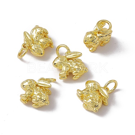 Rack Plating Brass Charms KK-C007-17G-1