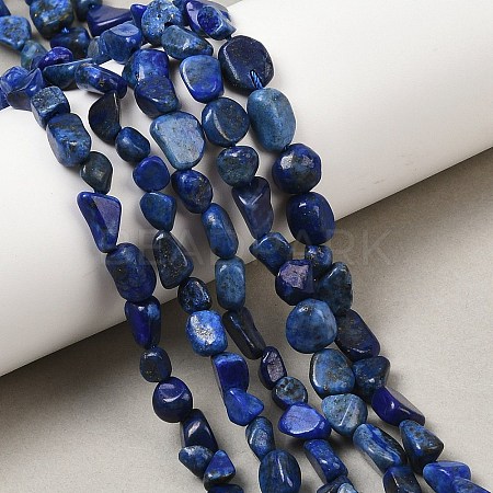 Natural Lapis Lazuli Beads Strands G-P597-B01-01-1