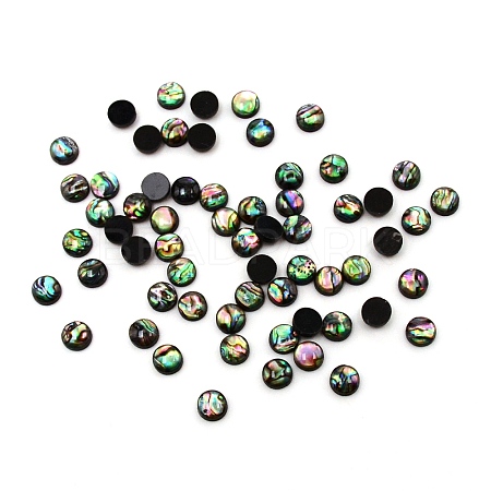 Paua Shell Cabochons SHEL-WH0001-002A-1